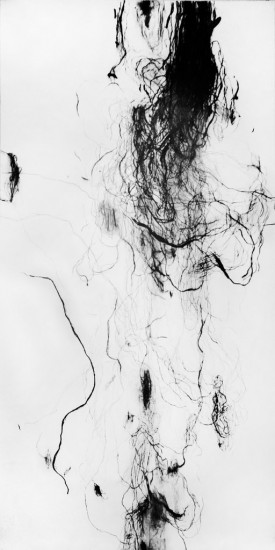 Novum ens R IV | coal on paper | 300×150 cm | 2015